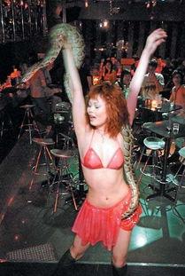 与蛇共舞电影在线观看,惊心动魄的生态奇观 第3张 与蛇共舞电影在线观看,惊心动魄的生态奇观 第3张